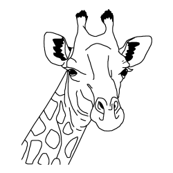 Lepa pobarvanka žirafje glave